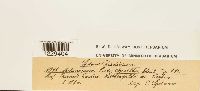 thumbnail image of current specimen