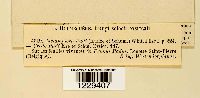 thumbnail image of current specimen