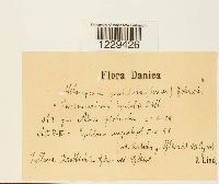 Image Associated With the Occurrence