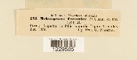 thumbnail image of current specimen