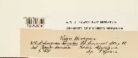 thumbnail image of current specimen