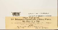 thumbnail image of current specimen