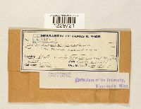 Image Associated With the Occurrence