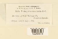 Image Associated With the Occurrence