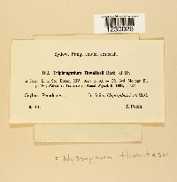 Image Associated With the Occurrence