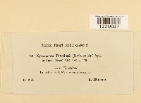 Image Associated With the Occurrence