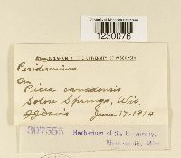 Image Associated With the Occurrence