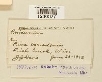 Image Associated With the Occurrence