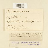 Image Associated With the Occurrence