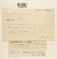 Image Associated With the Occurrence