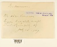 Image Associated With the Occurrence