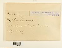 Image Associated With the Occurrence