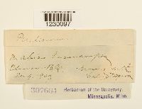 Image Associated With the Occurrence