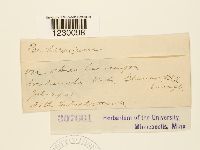 Image Associated With the Occurrence