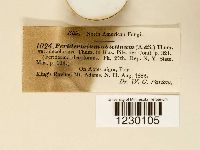 Peridermium abietinum image