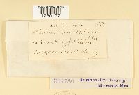 Image Associated With the Occurrence