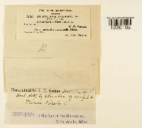 Image Associated With the Occurrence