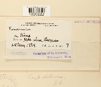 Image Associated With the Occurrence