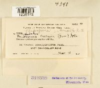 Image Associated With the Occurrence