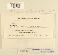 Image Associated With the Occurrence