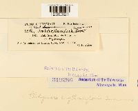 Image Associated With the Occurrence