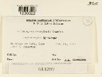 Image Associated With the Occurrence