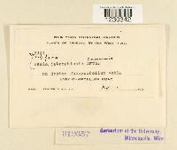 Image Associated With the Occurrence