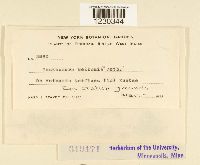 Image Associated With the Occurrence