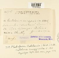 Image Associated With the Occurrence