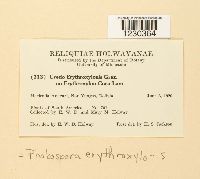 Image Associated With the Occurrence