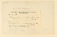 Phragmidium rubi image