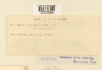 Thumbnail image of current specimen