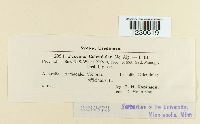 thumbnail image of current specimen