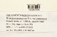 Image Associated With the Occurrence