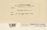 Image Associated With the Occurrence