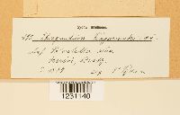 Image Associated With the Occurrence