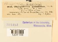 Phragmidium fragariae image