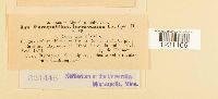 thumbnail image of current specimen