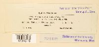 thumbnail image of current specimen