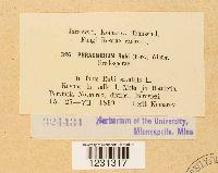thumbnail image of current specimen