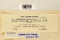 thumbnail image of current specimen