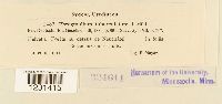 thumbnail image of current specimen