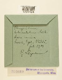 thumbnail image of current specimen
