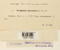 Image Associated With the Occurrence