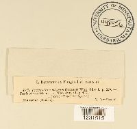 Image Associated With the Occurrence