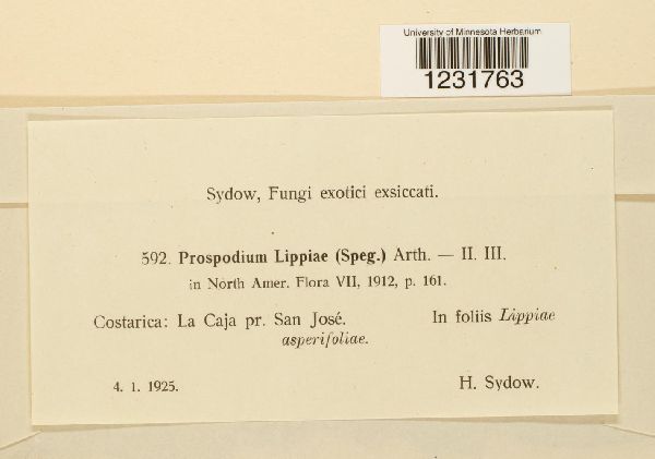 Prospodium image