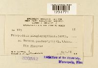 Image Associated With the Occurrence