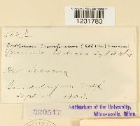 Prospodium transformans image