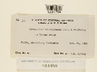 thumbnail image of current specimen