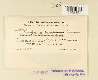 Image Associated With the Occurrence